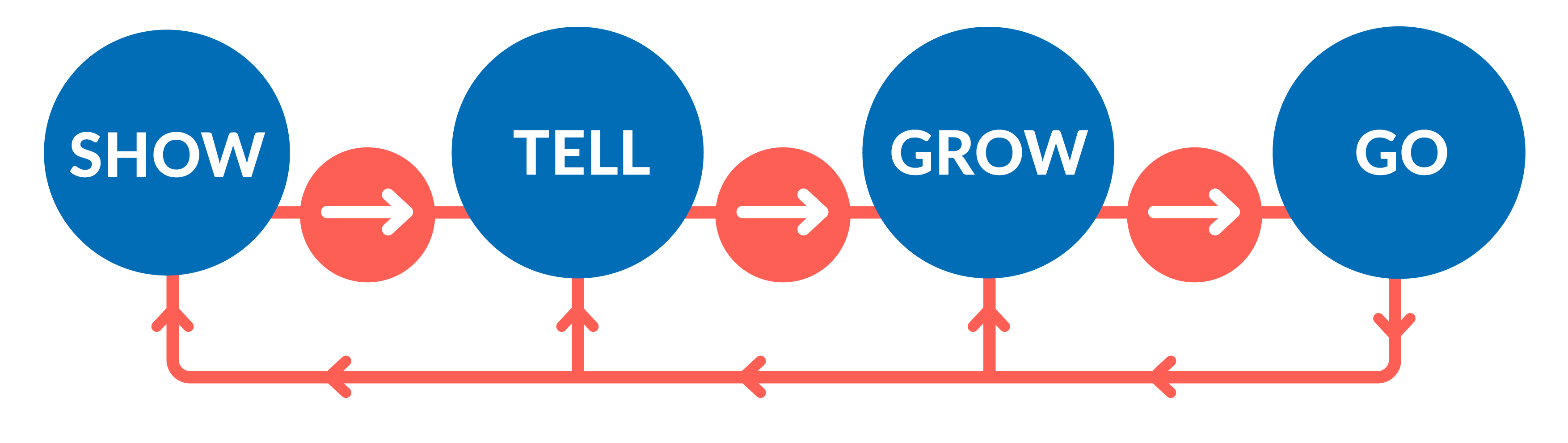 Vision-Graphic-Show-Tell-Grow-